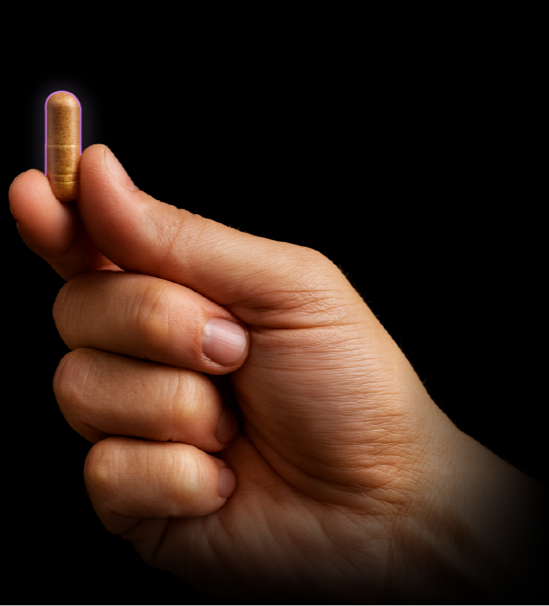 Ingredient Showcase Bottom Image